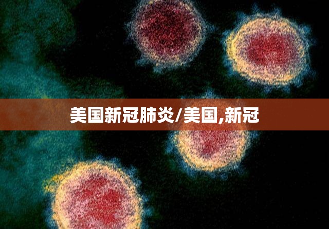 美国新冠肺炎/美国,新冠