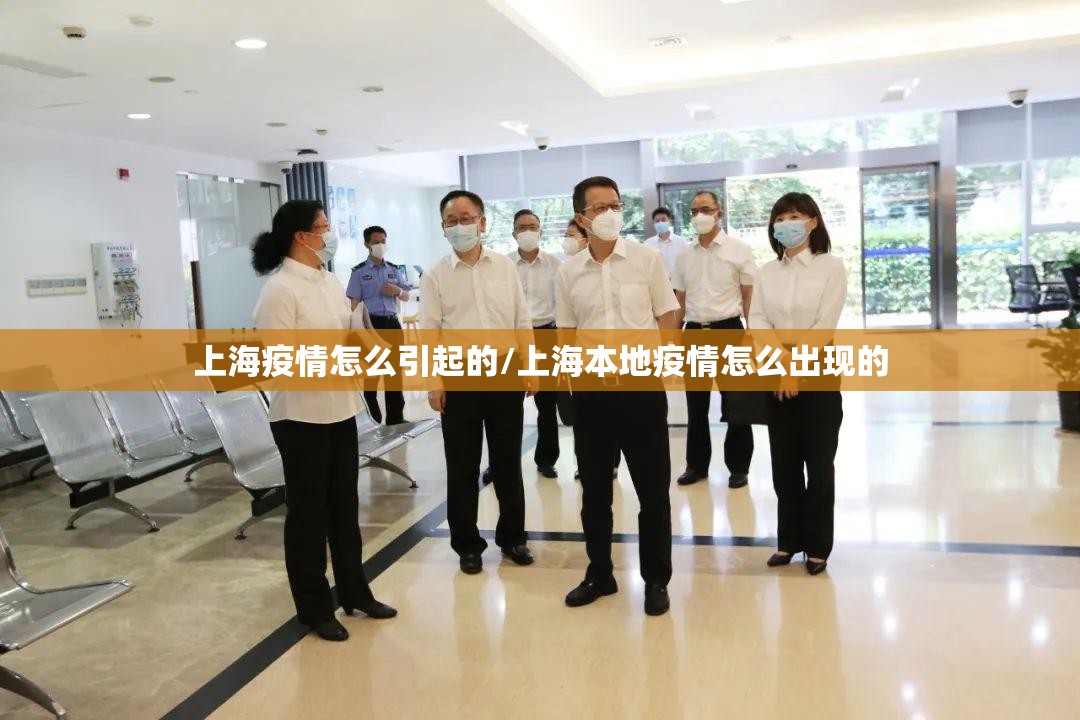 上海疫情怎么引起的/上海本地疫情怎么出现的