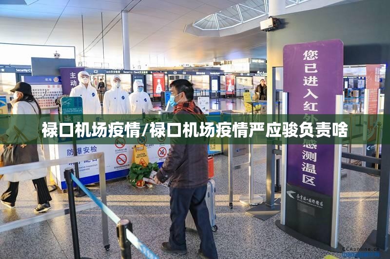 禄口机场疫情/禄口机场疫情严应骏负责啥