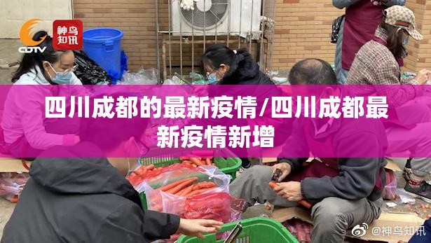 四川成都的最新疫情/四川成都最新疫情新增