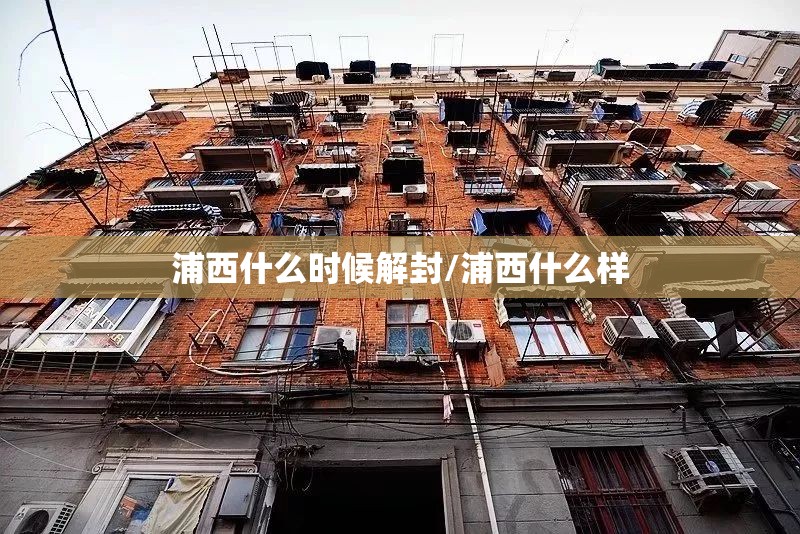 浦西什么时候解封/浦西什么样