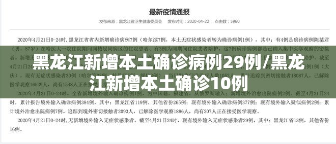 黑龙江新增本土确诊病例29例/黑龙江新增本土确诊10例