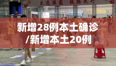 新增28例本土确诊/新增本土20例