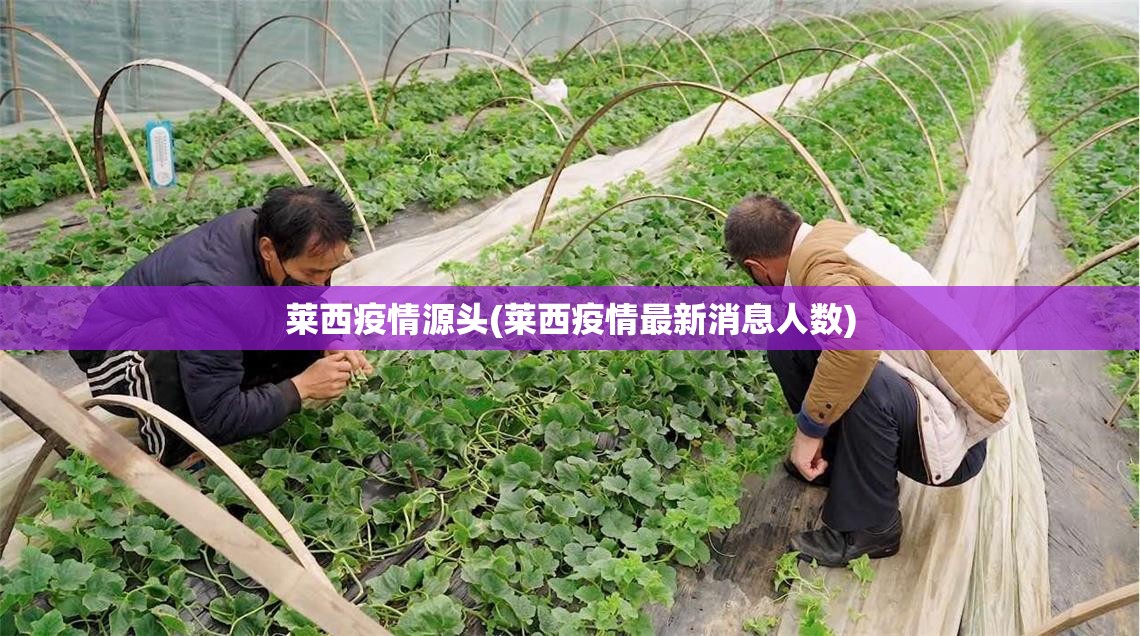 莱西疫情源头(莱西疫情最新消息人数) 莱西疫情源头(莱西疫情最新消息人数)