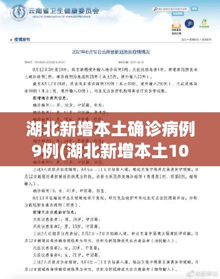湖北新增本土确诊病例9例(湖北新增本土10例) 湖北新增本土确诊病例9例(湖北新增本土10例)