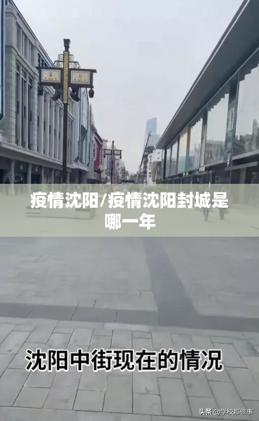 疫情沈阳/疫情沈阳封城是哪一年