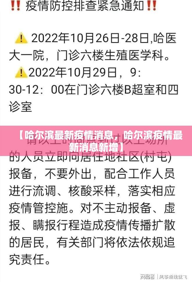 【哈尔滨最新疫情消息，哈尔滨疫情最新消息新增】
