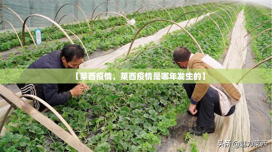 【莱西疫情，莱西疫情是哪年发生的】