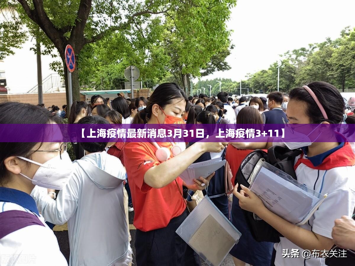 【上海疫情最新消息3月31日,上海疫情3+11】 【上海疫情最新消息3月31日,上海疫情3+11】