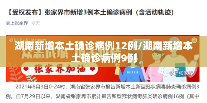 湖南新增本土确诊病例12例/湖南新增本土确诊病例9例