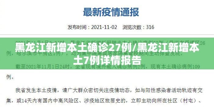 黑龙江新增本土确诊27例/黑龙江新增本土7例详情报告