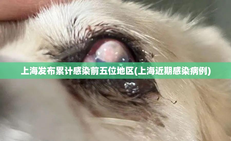 上海发布累计感染前五位地区(上海近期感染病例) 上海发布累计感染前五位地区(上海近期感染病例)
