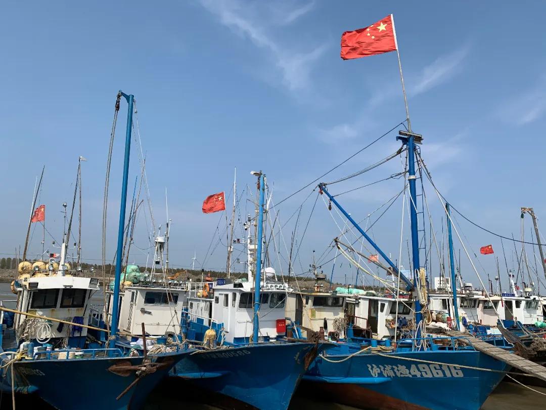 浦东疫情最新情况(浦东浦东疫情)
