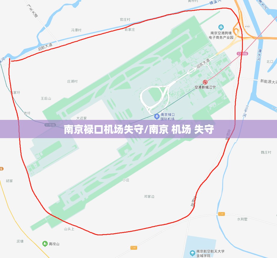 南京禄口机场失守/南京 机场 失守