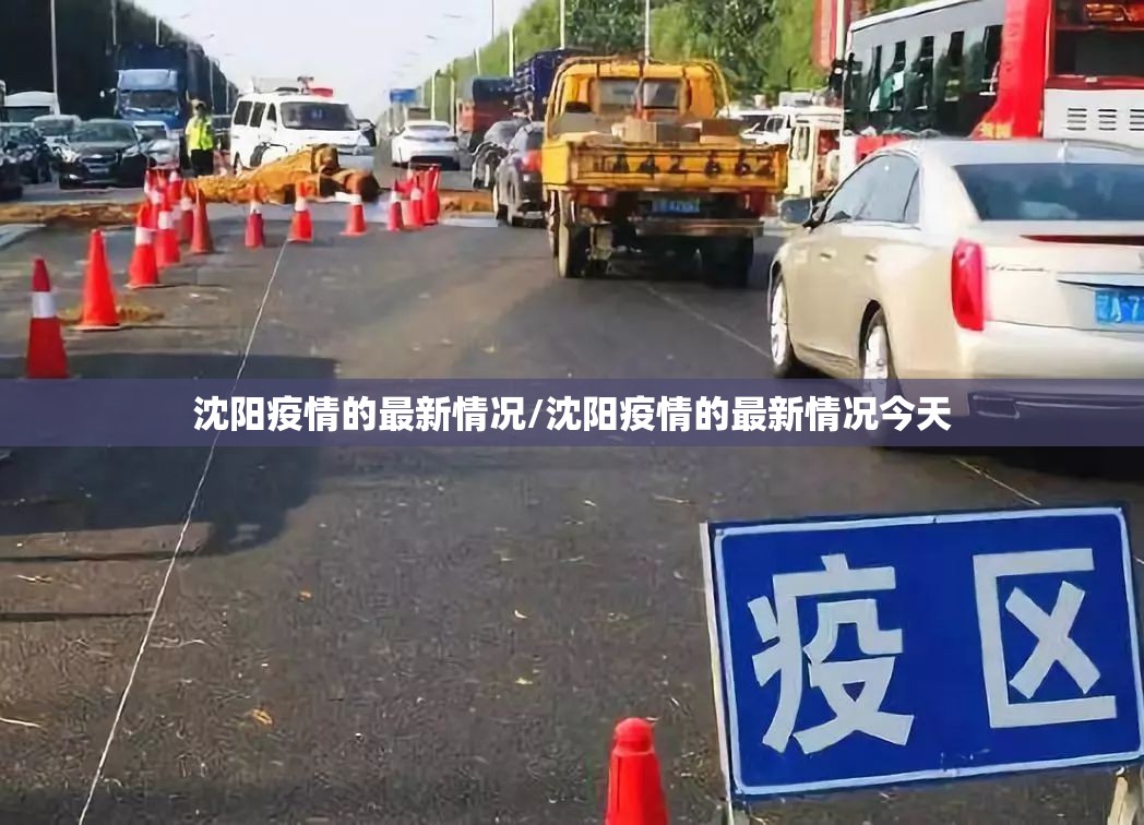 沈阳疫情的最新情况/沈阳疫情的最新情况今天