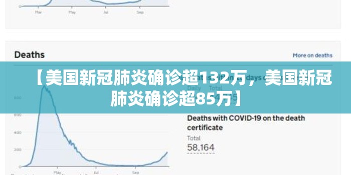 【美国新冠肺炎确诊超132万，美国新冠肺炎确诊超85万】
