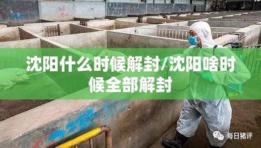 沈阳什么时候解封/沈阳啥时候全部解封
