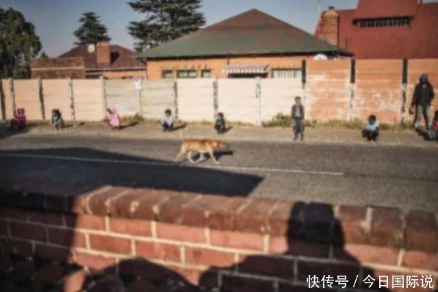全市封到5月1号已经确定/紧急通知全面封城