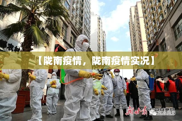 【陇南疫情，陇南疫情实况】