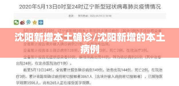 沈阳新增本土确诊/沈阳新增的本土病例 沈阳新增本土确诊/沈阳新增的本土病例