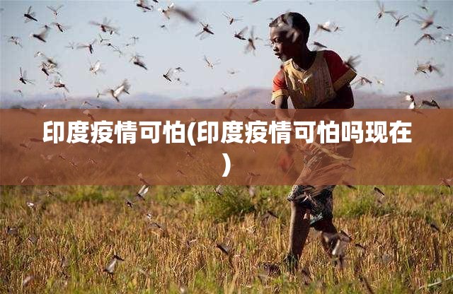 印度疫情可怕(印度疫情可怕吗现在)