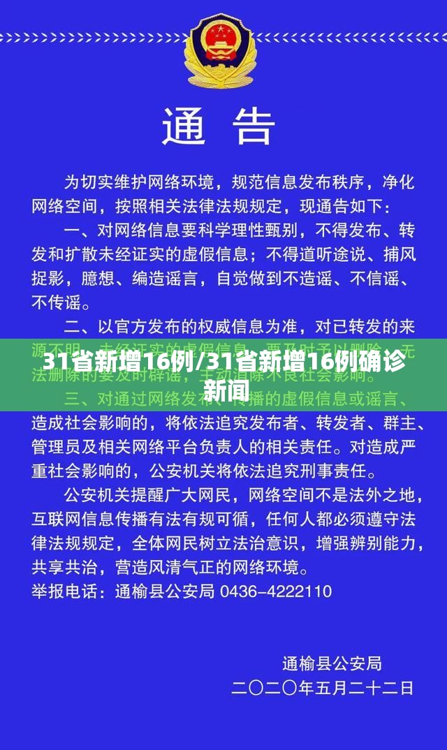 31省新增16例/31省新增16例确诊 新闻