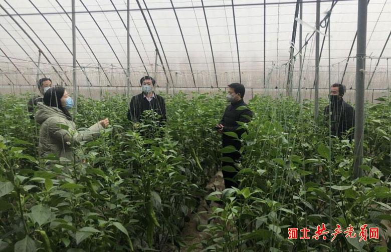 任丘疫情/任丘市役情 任丘疫情/任丘市役情