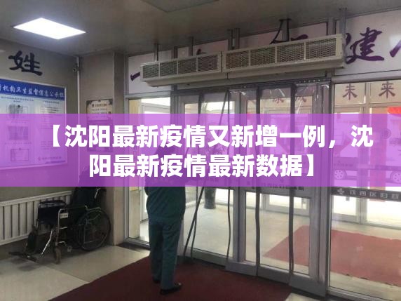 【沈阳最新疫情又新增一例，沈阳最新疫情最新数据】