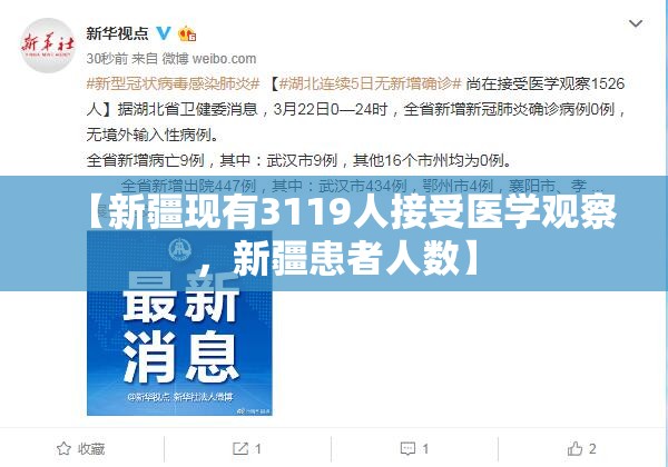 【新疆现有3119人接受医学观察，新疆患者人数】