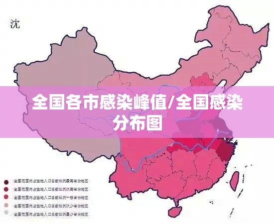 全国各市感染峰值/全国感染分布图