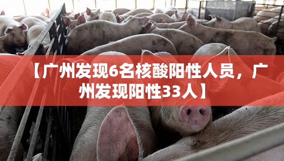 【广州发现6名核酸阳性人员，广州发现阳性33人】