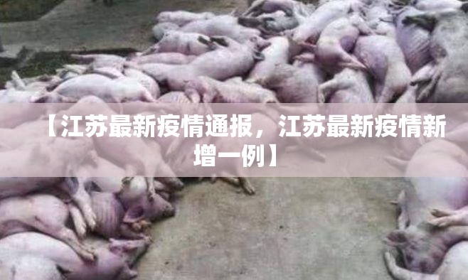 【江苏最新疫情通报，江苏最新疫情新增一例】