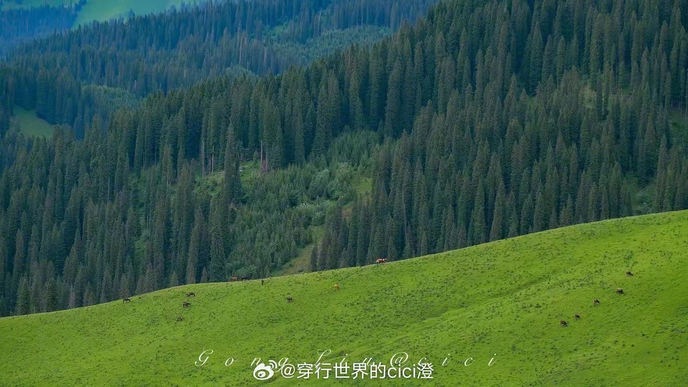 新疆伊犁中断的长假(新疆伊犁被中断的十一长假!) 新疆伊犁中断的长假(新疆伊犁被中断的十一长假!)
