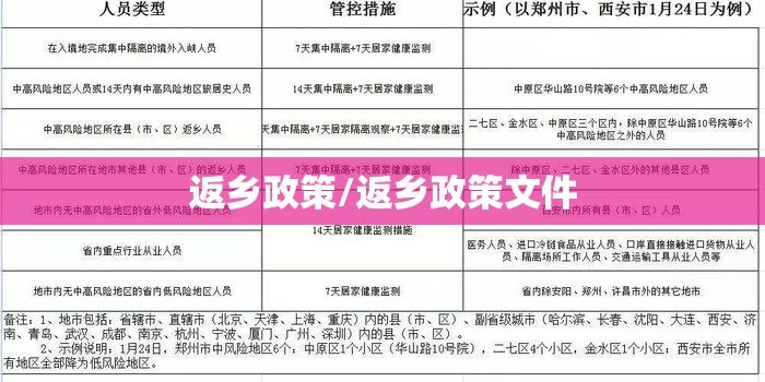 返乡政策/返乡政策文件