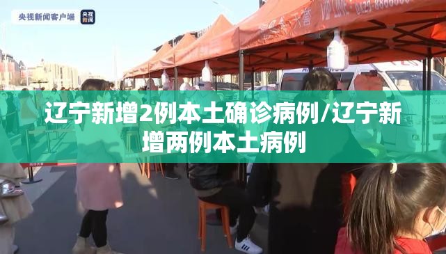 辽宁新增2例本土确诊病例/辽宁新增两例本土病例 辽宁新增2例本土确诊病例/辽宁新增两例本土病例
