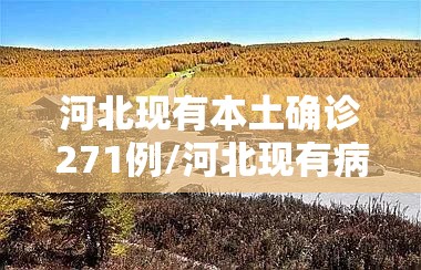 河北现有本土确诊271例/河北现有病例127例