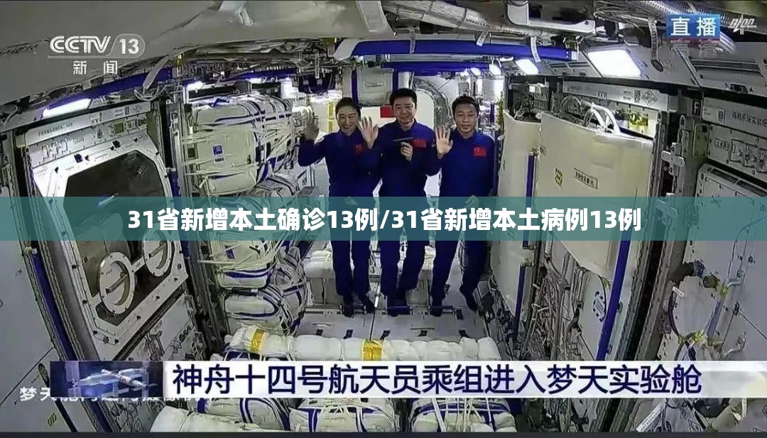31省新增本土确诊13例/31省新增本土病例13例 31省新增本土确诊13例/31省新增本土病例13例