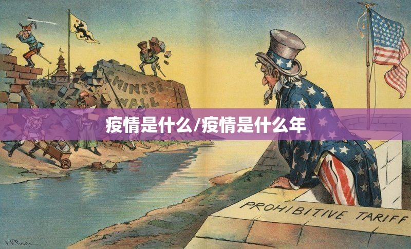 疫情是什么/疫情是什么年