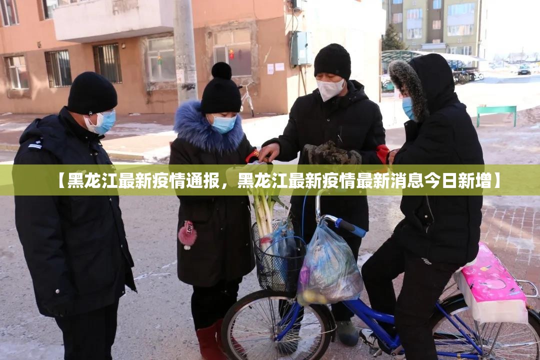 【黑龙江最新疫情通报，黑龙江最新疫情最新消息今日新增】