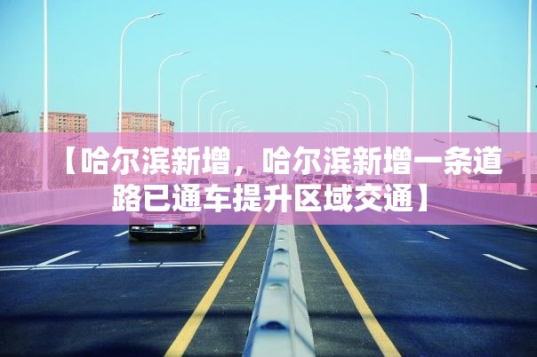 【哈尔滨新增，哈尔滨新增一条道路已通车提升区域交通】