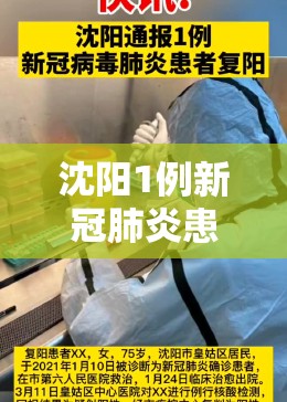 沈阳1例新冠肺炎患者复阳/沈阳通报1例新冠病毒肺炎患者复阳