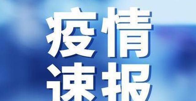 沈阳1例新冠肺炎患者复阳/沈阳通报1例新冠病毒肺炎患者复阳