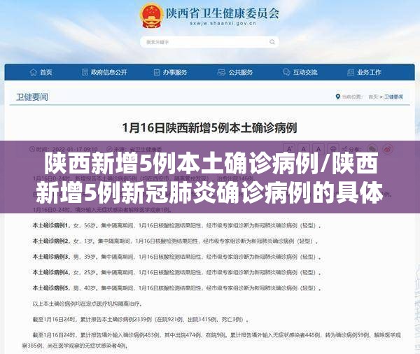 陕西新增5例本土确诊病例/陕西新增5例新冠肺炎确诊病例的具体情况