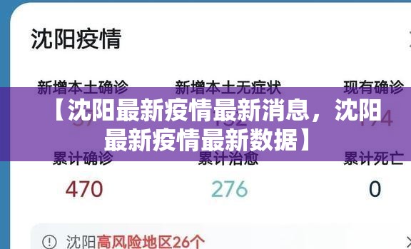 【沈阳最新疫情最新消息，沈阳最新疫情最新数据】