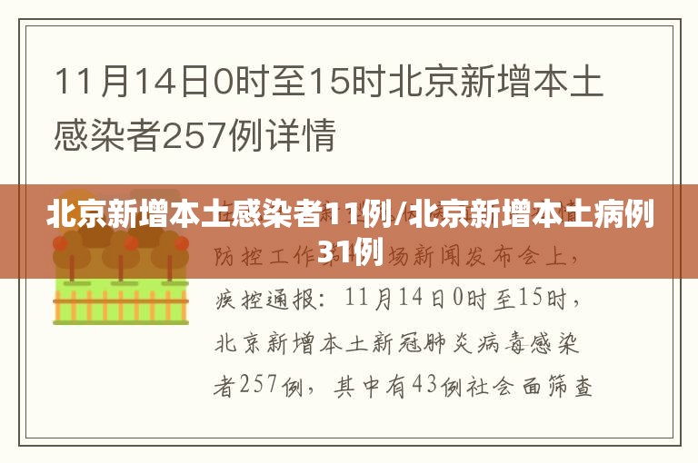 北京新增本土感染者11例/北京新增本土病例31例 北京新增本土感染者11例/北京新增本土病例31例