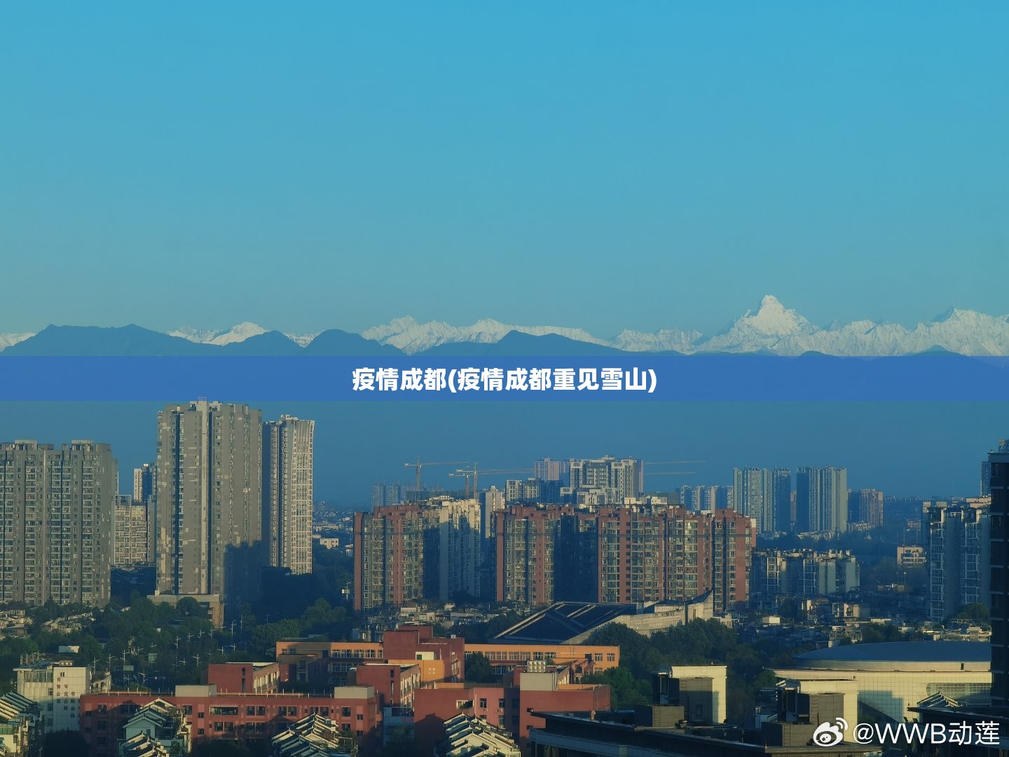 疫情成都(疫情成都重见雪山)