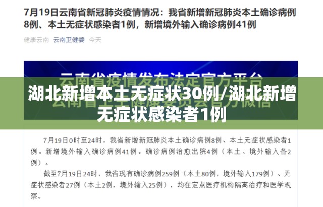 湖北新增本土无症状30例/湖北新增无症状感染者1例