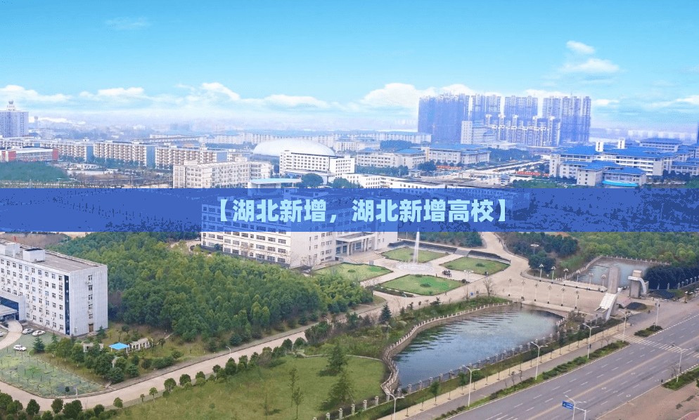 【湖北新增，湖北新增高校】