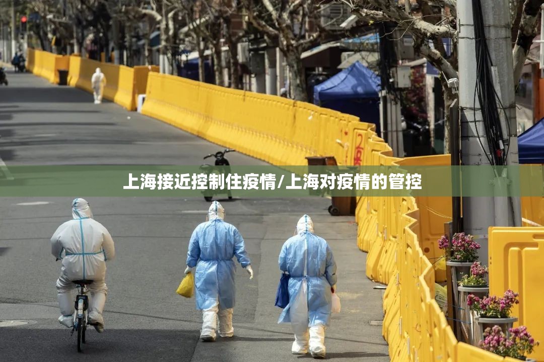 上海接近控制住疫情/上海对疫情的管控