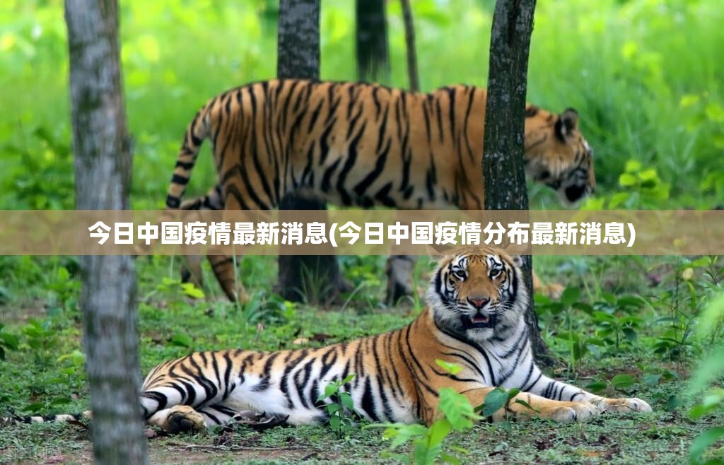 今日中国疫情最新消息(今日中国疫情分布最新消息) 今日中国疫情最新消息(今日中国疫情分布最新消息)